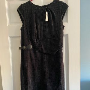Ann Taylor Dress